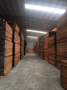 新貨到，雙發(fā)到新貨有紅玫瑰，黃玫瑰，紅花梨，紅紅火火，歡迎訂貨