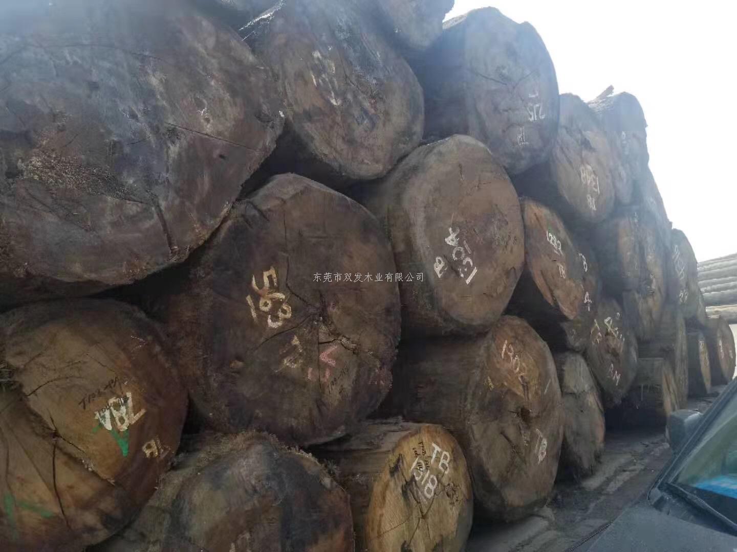 迎7月家具展，雙發(fā)木業(yè)原木加工進(jìn)行中。。